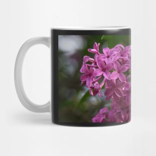 Lilacs Mug